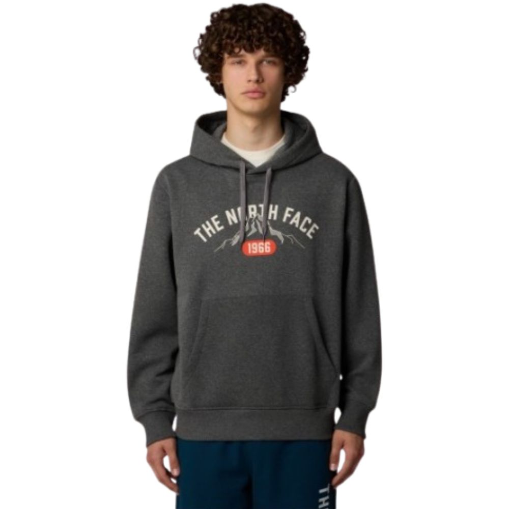 THE NORTH FACE MEN GREY HOODIE VARSITY GRAPHIC